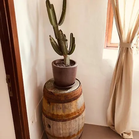 Bodega Botanica Hébergement de vacances